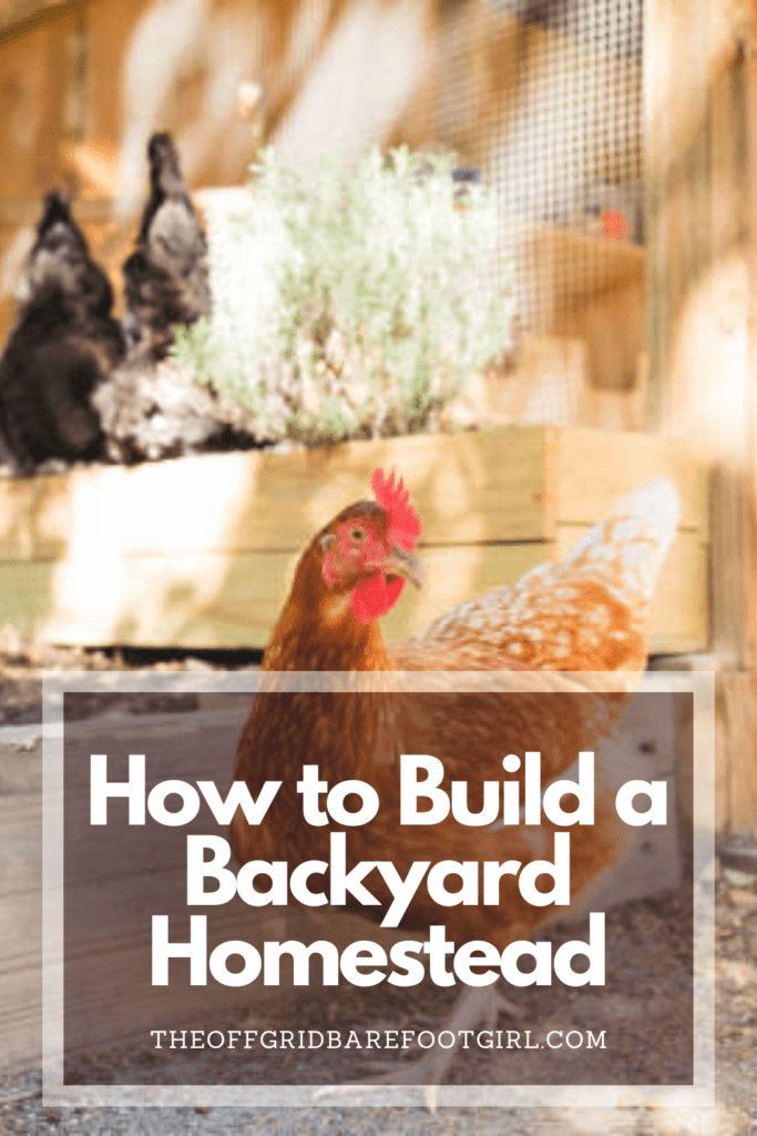 Image illustrates a Pinterest pin of a backyard homestead. 