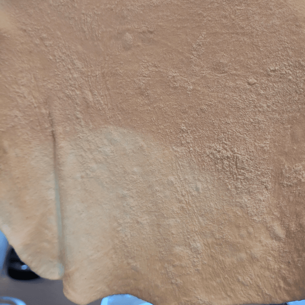 Image illustrates dough rolled out for tortillas.