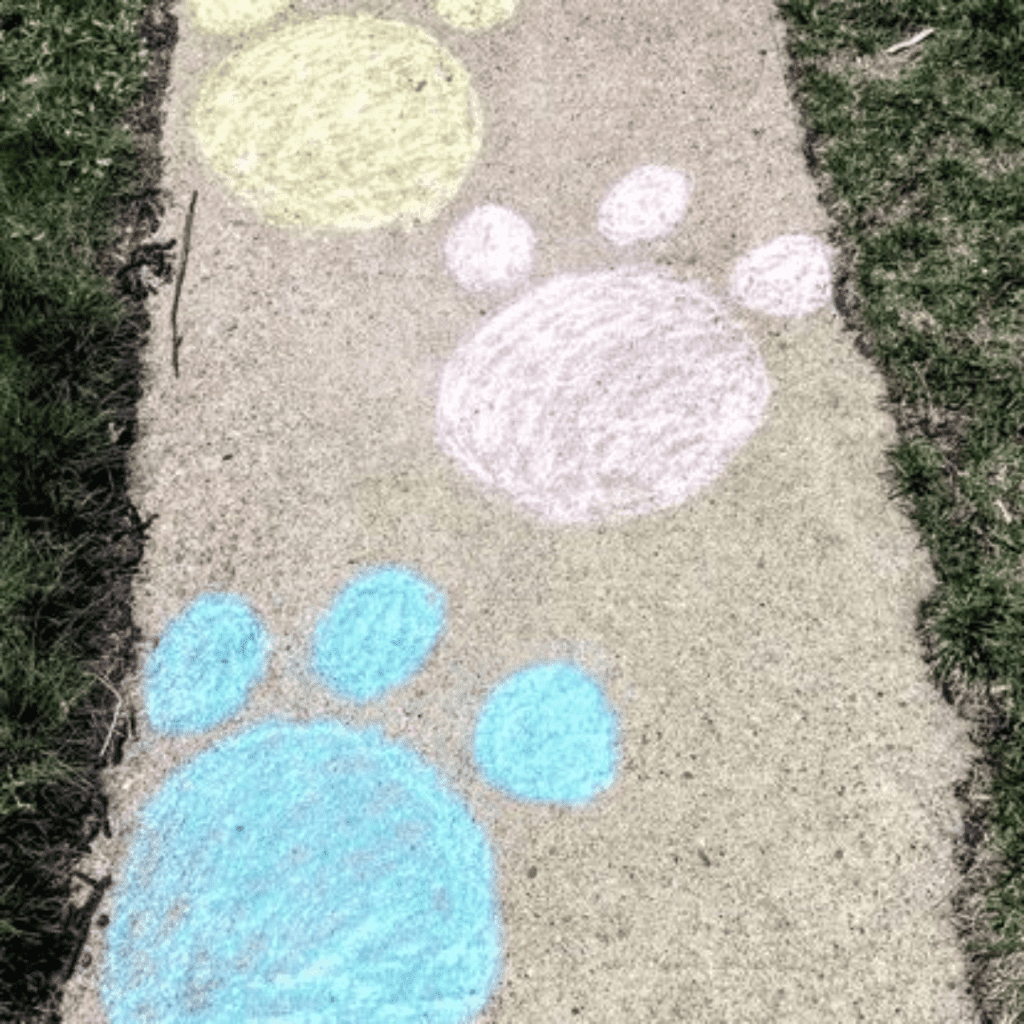 Image illustrates a sidewalk with Easter bunny paw prints drawn with sidewalk chalk. 