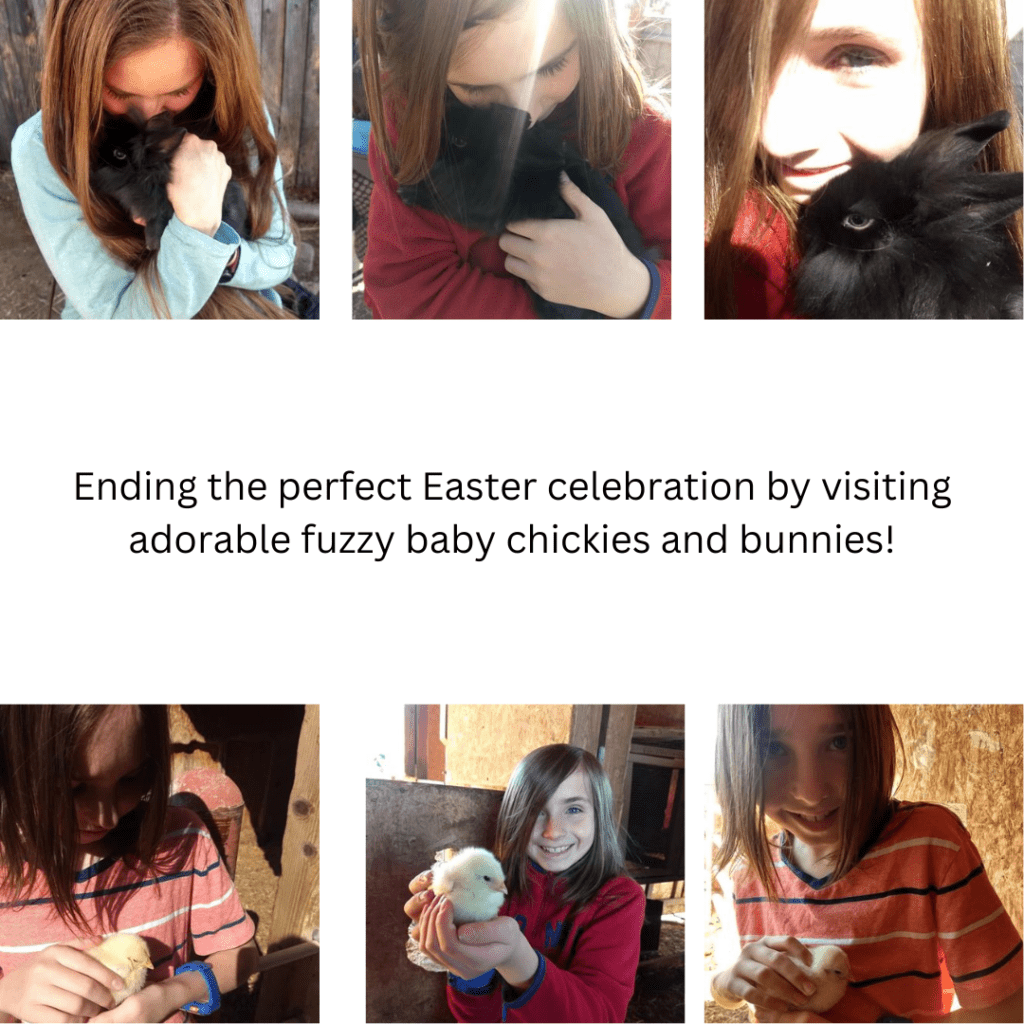 Image illustrates people holding baby chicks and bunnies. 