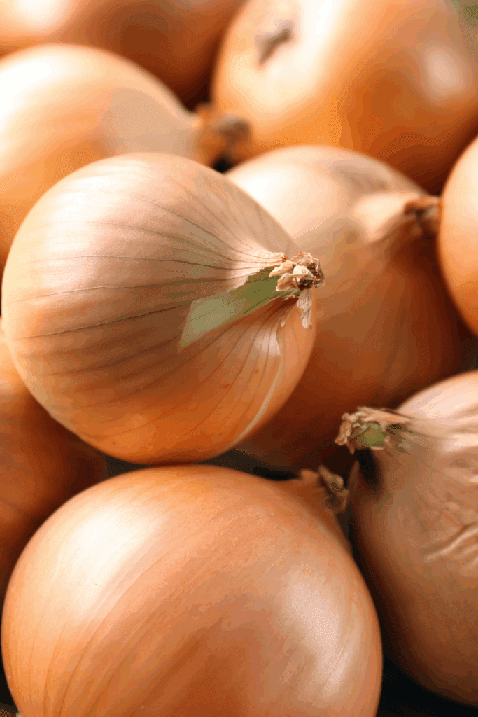 Image illustrates onions demonstrating how to grow onions for storage. 
