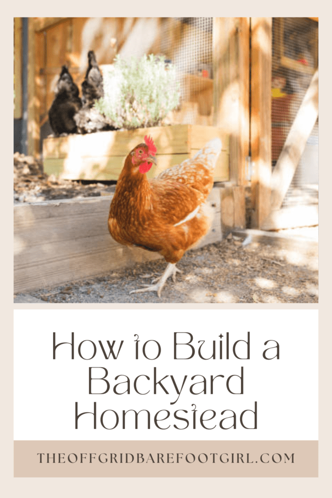 Image illustrates a Pinterest pin of a backyard homestead. 