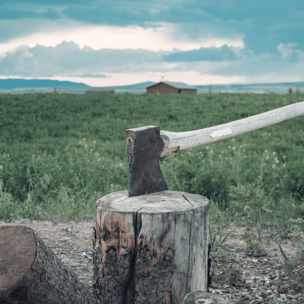 Image illustrates an axe and tree stump for how to live off-grid tips. 
