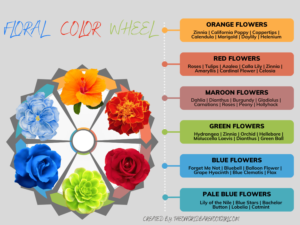 Image illustrates a floral color wheel chart. 