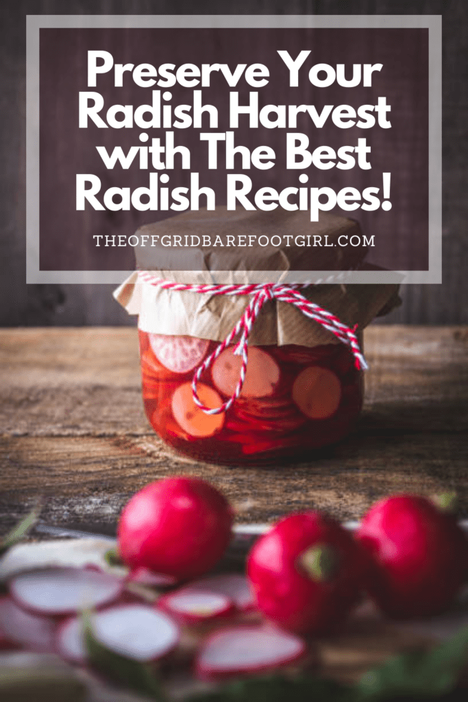 Image illustrates a Pinterest pin of radish recipes. 