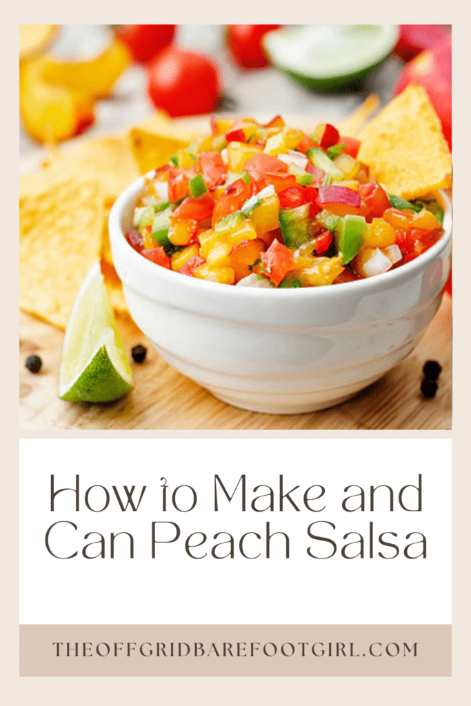 Image illustrates a Pinterest pin of peach salsa. 