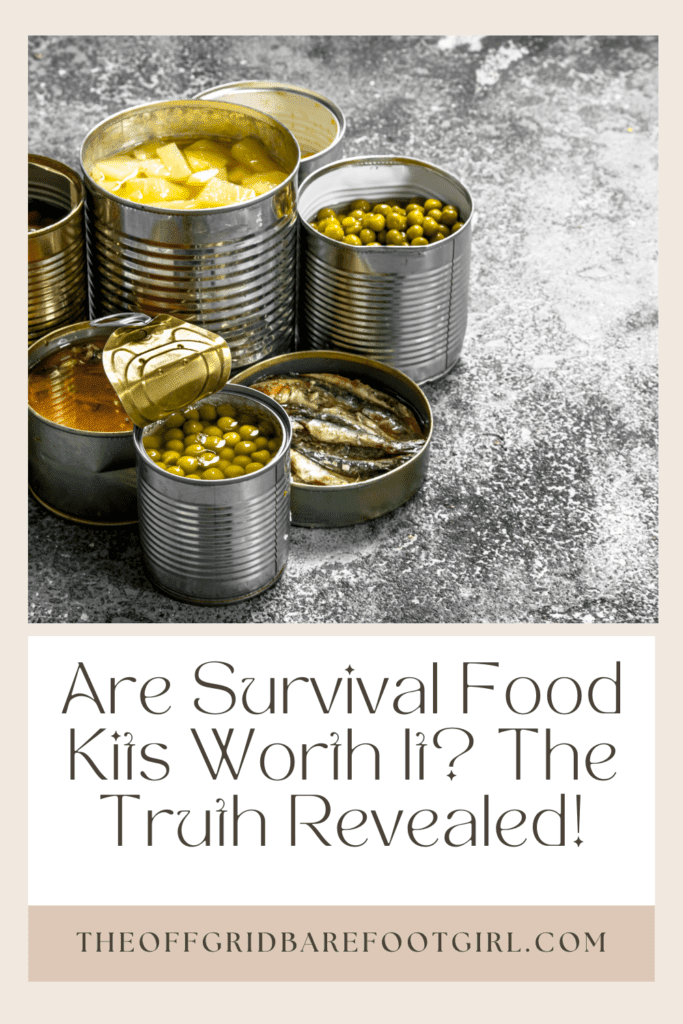 Image illustrates a Pinterest pin of survival food kits.