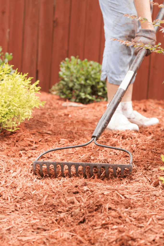 Image illustrates a no-till garden practices. 