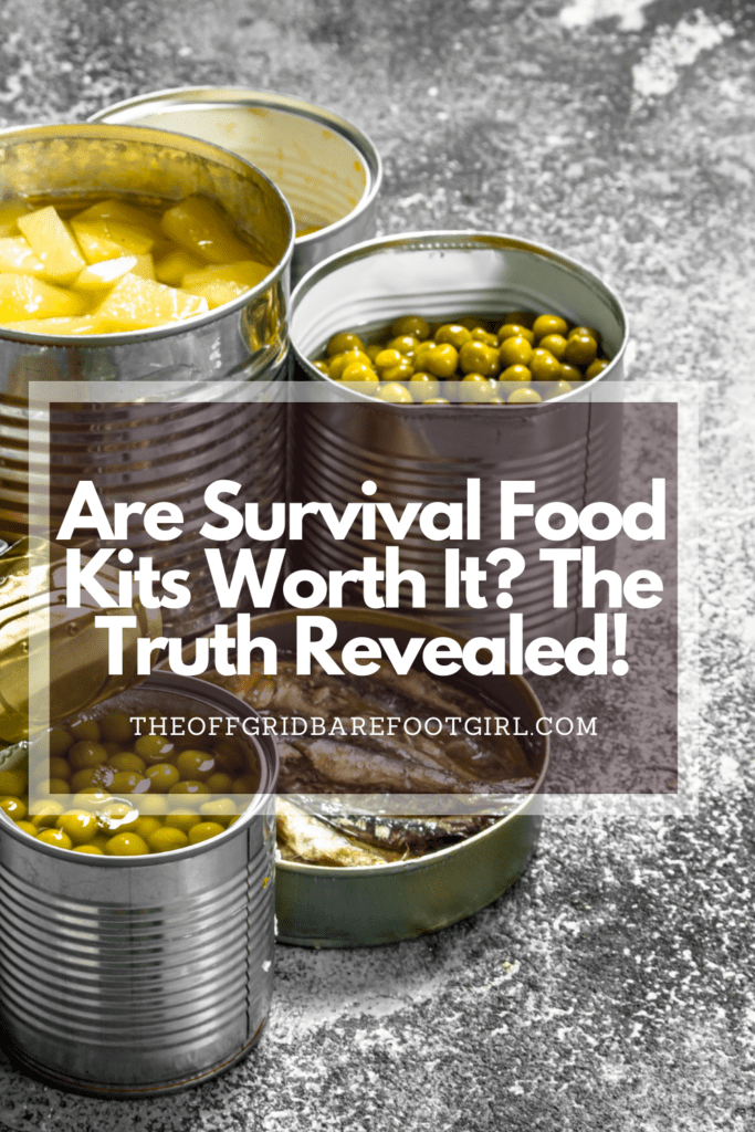 Image illustrates a Pinterest pin of survival food kits. 