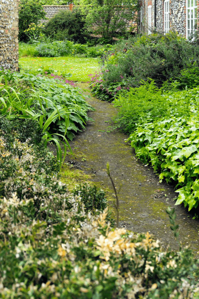 Image illustrates a mossy pathway.