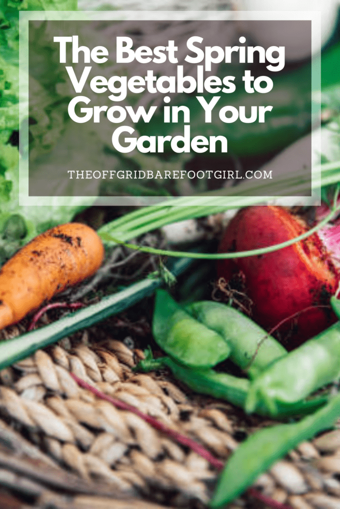 Image illustrates a Pinterest pin of a vegetable gardening demonstrating information about the best spring vegetables to grow. 
