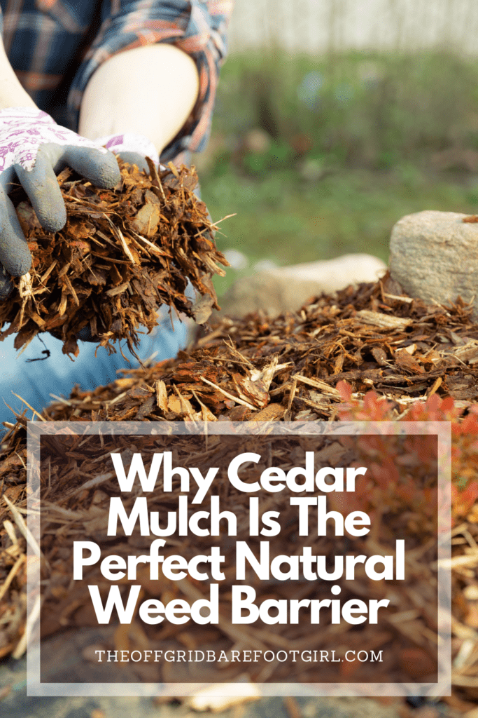 Image illustrates a Pinterest pin of cedar mulch. 