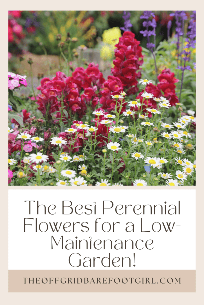 Image illustrates a Pinterest pin of perennial flowers. 