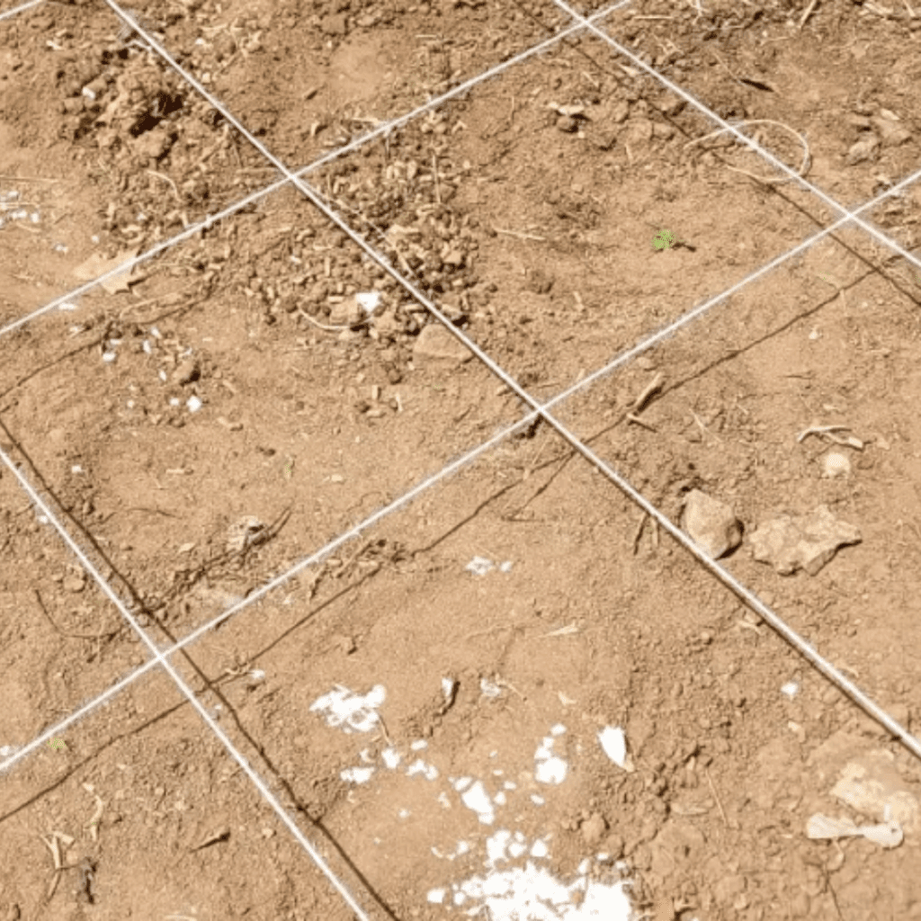 Image illustrates a grid for a square foot garden for a survival garden. 