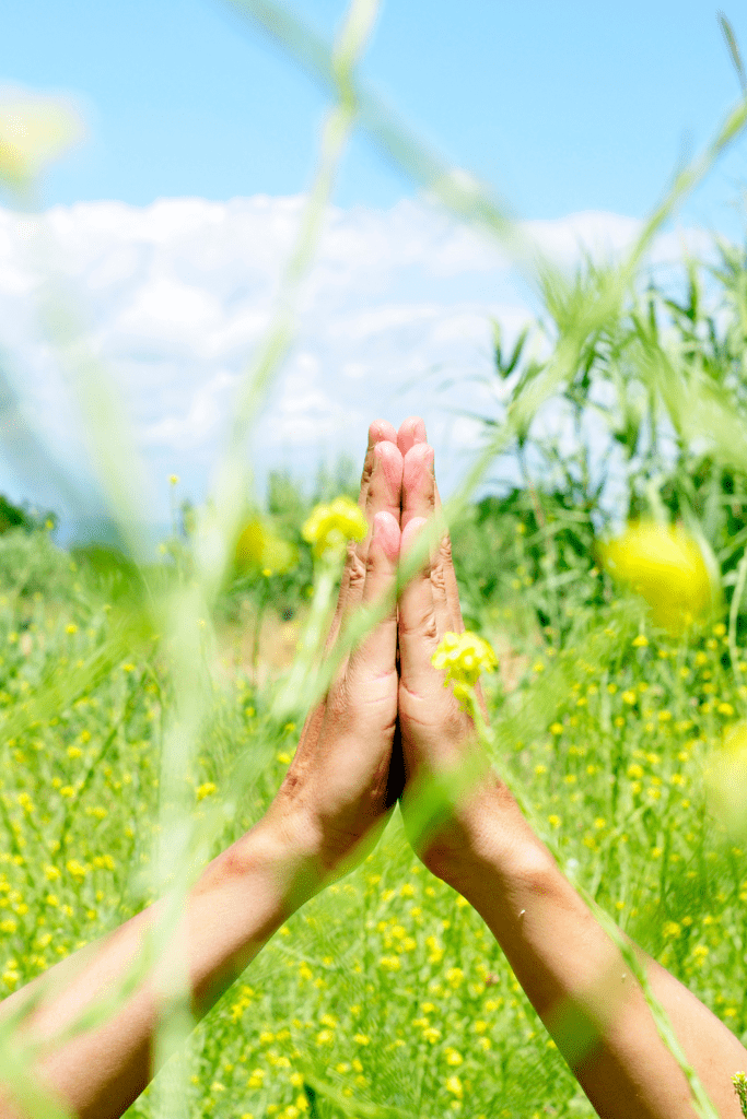 Image illustrates hands engaging in meditation.