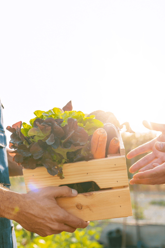 Image illustrates community support in off-grid living. 