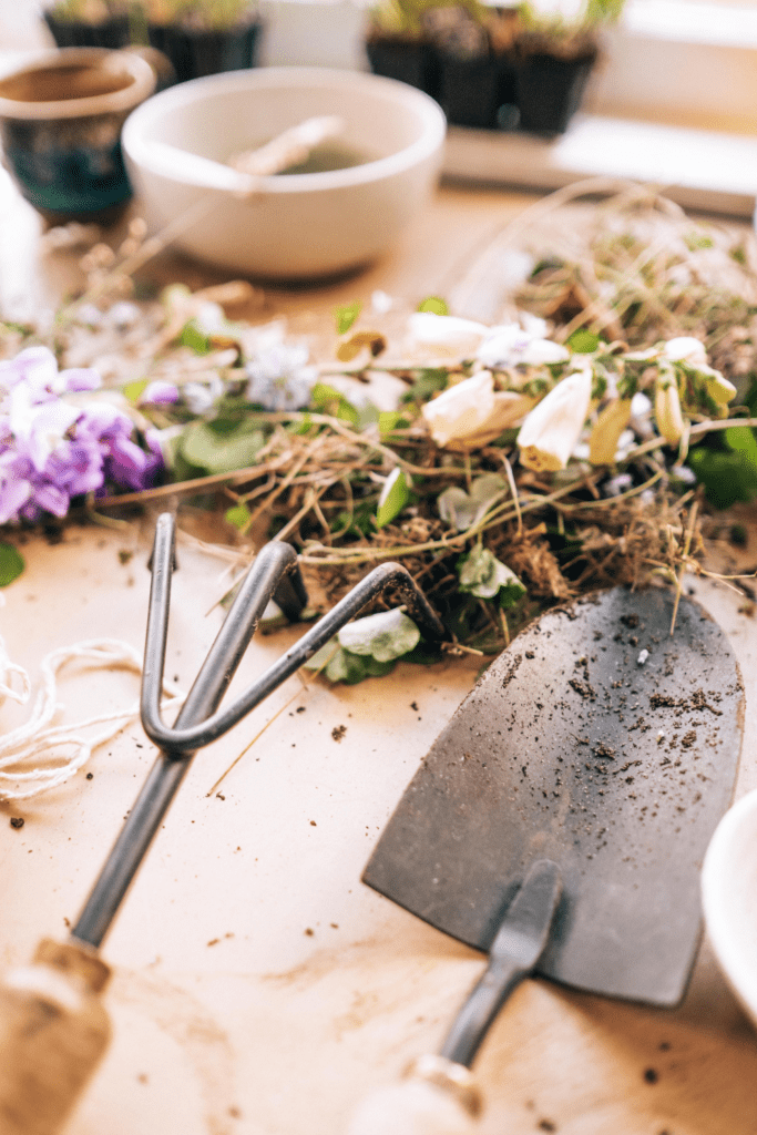 Image illustrates tools for gardening indoors. 
