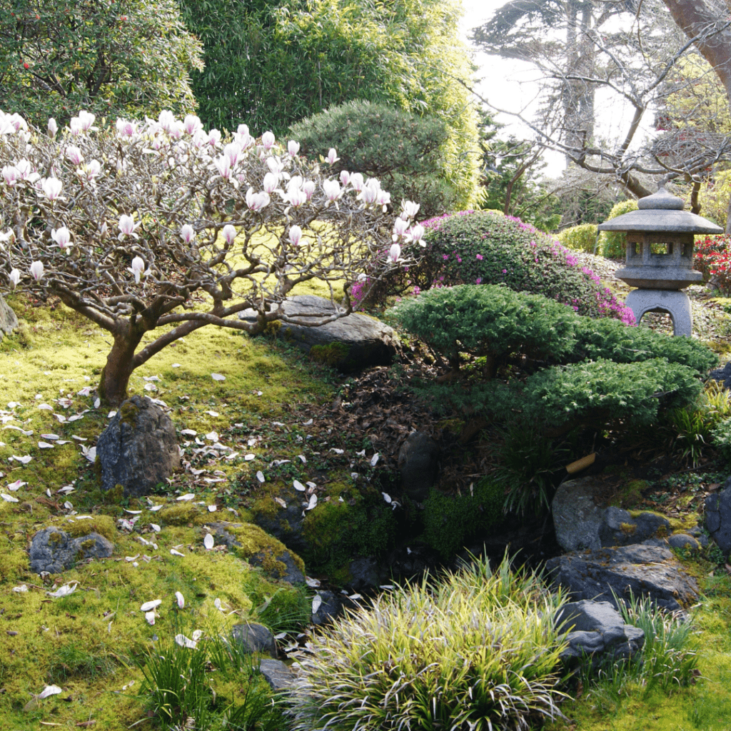Image illustrates a Japanese garden. 