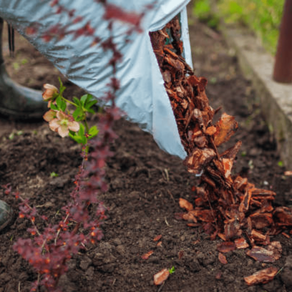 Image illustrates cedar mulch. 