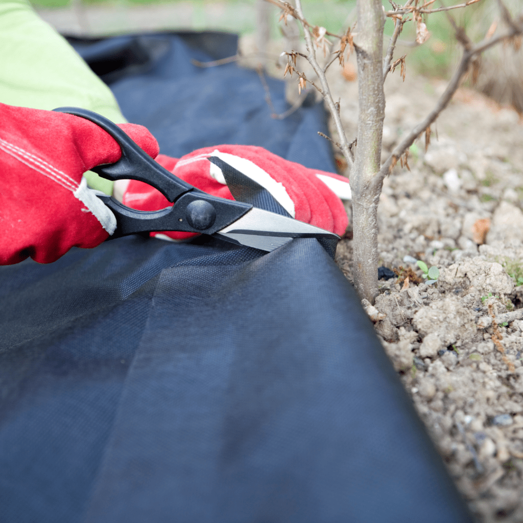 Image illustrates fabric weed barrier in the garden. 