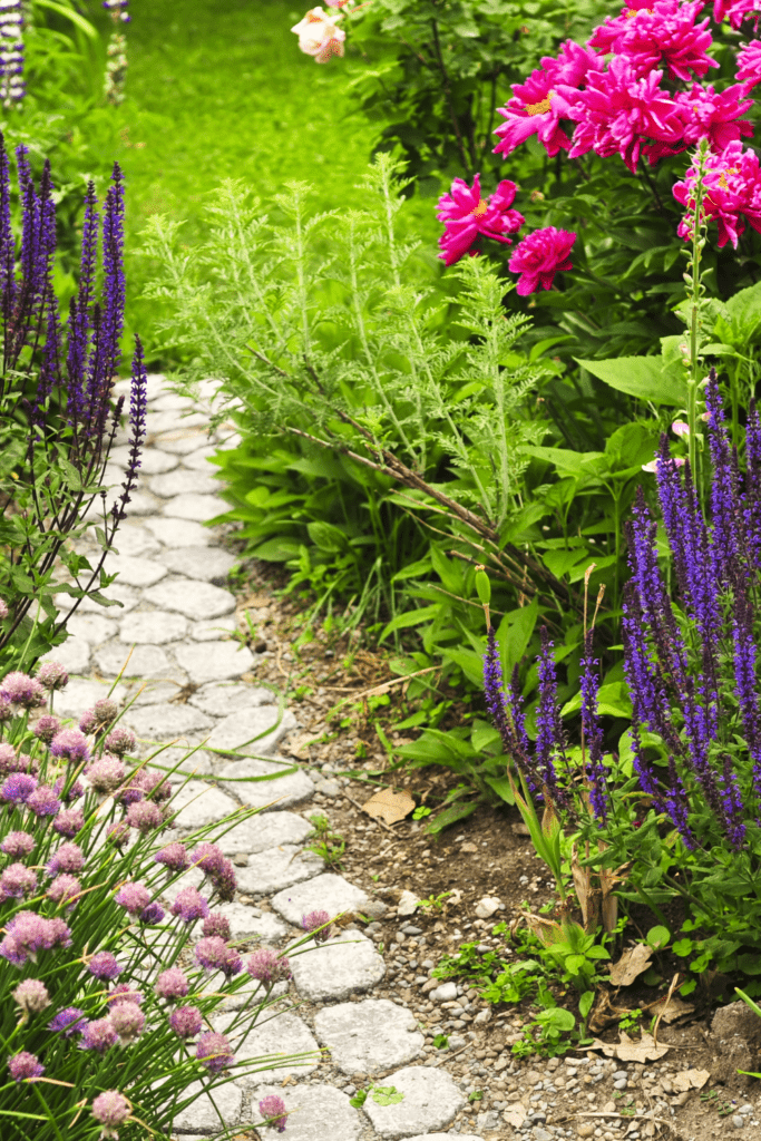 Image illustrates perennial flowers. 