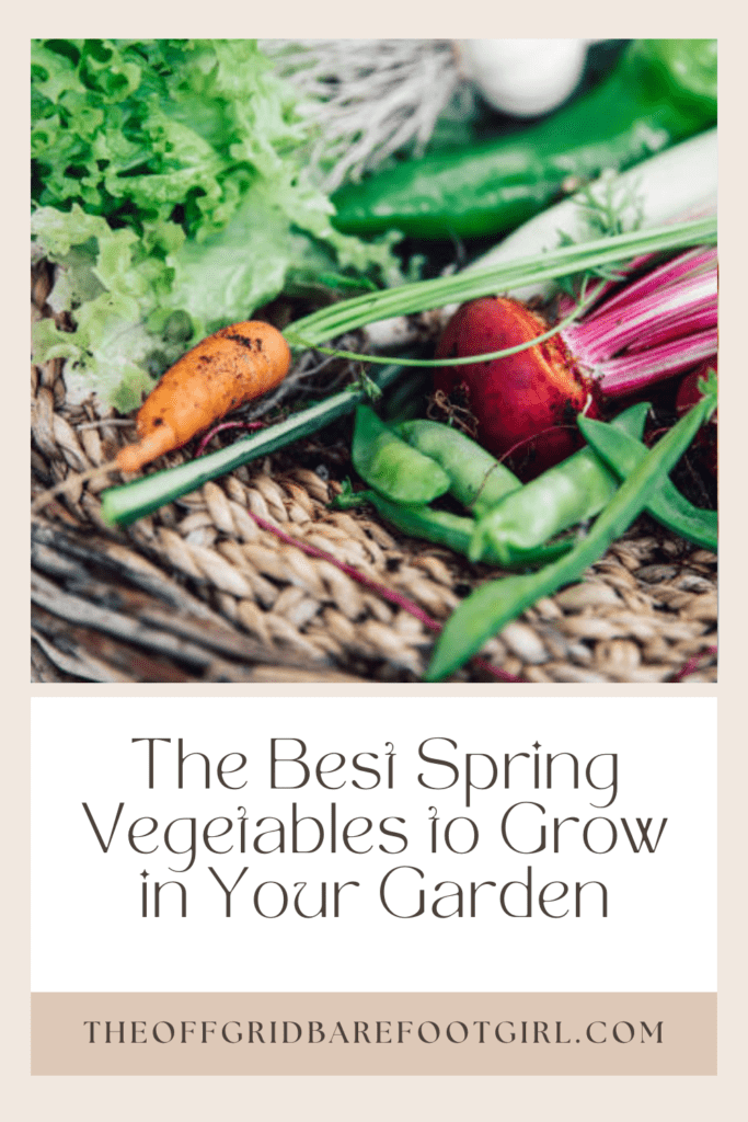 Image illustrates a Pinterest pin of a vegetable gardening demonstrating information about the best spring vegetables to grow. 