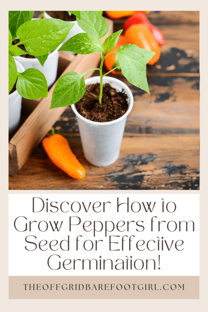 Image illustrates a Pinterest pin of how to grow peppers from seed. 