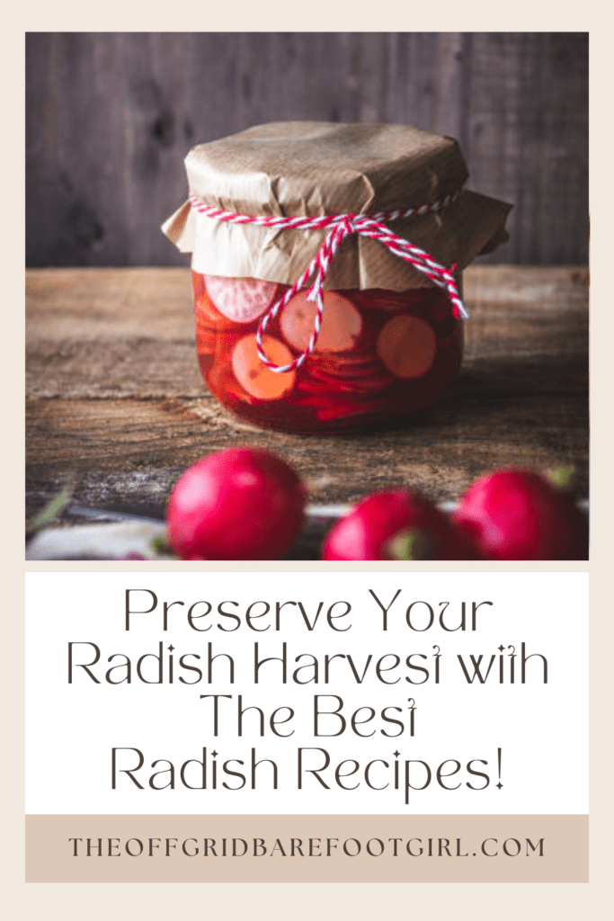 Image illustrates a Pinterest pin of radish recipes. 