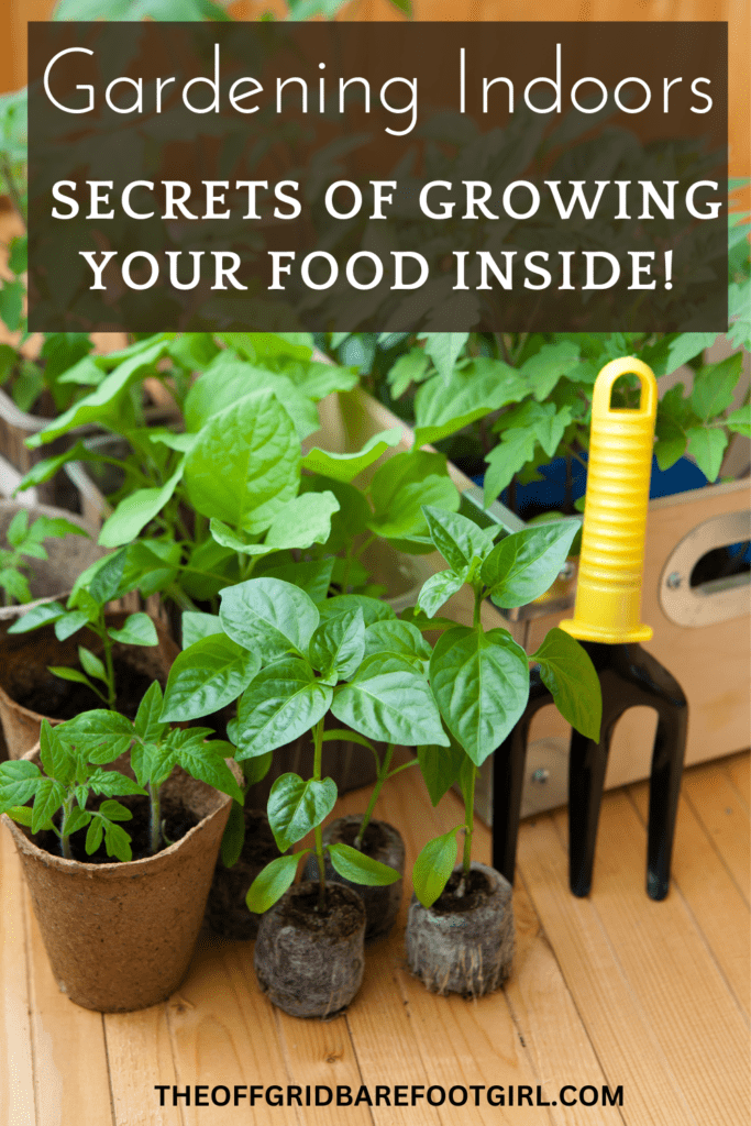 Image illustrates plants for gardening indoors.