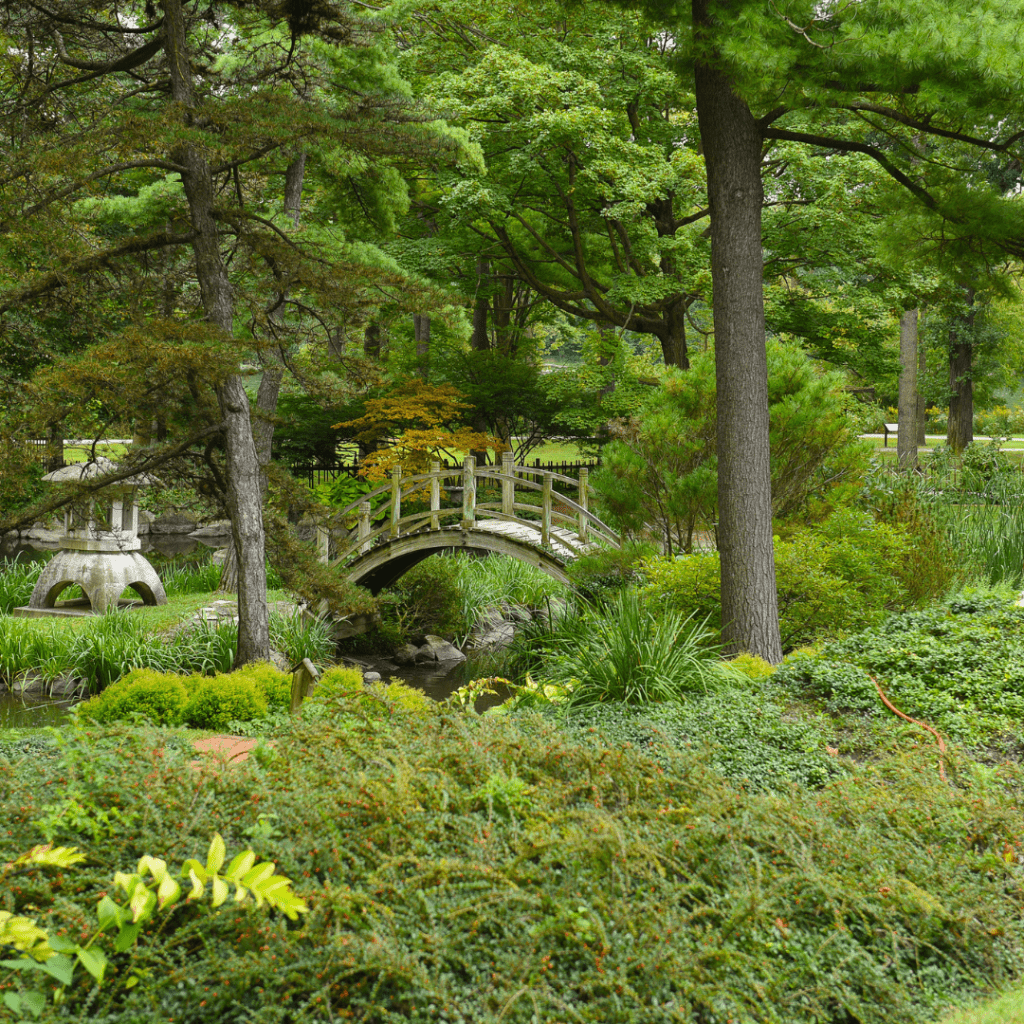 Image illustrates borrowed landscape Shakkei in a Japanese tea garden. 