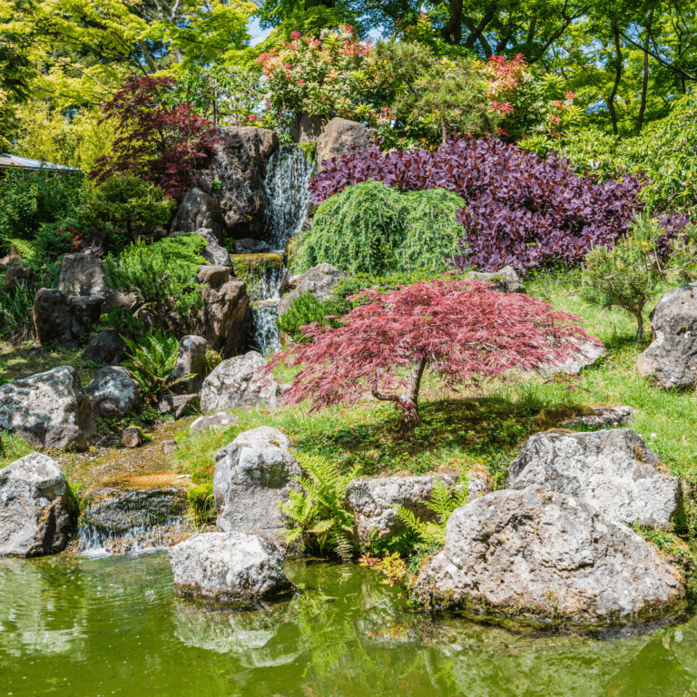 Discover the #1 Secrets of Growing a Japanese Tea Garden! - The Off ...