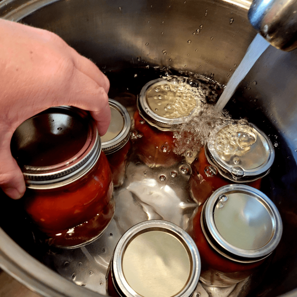 Image illustrates canning peach salsa. 