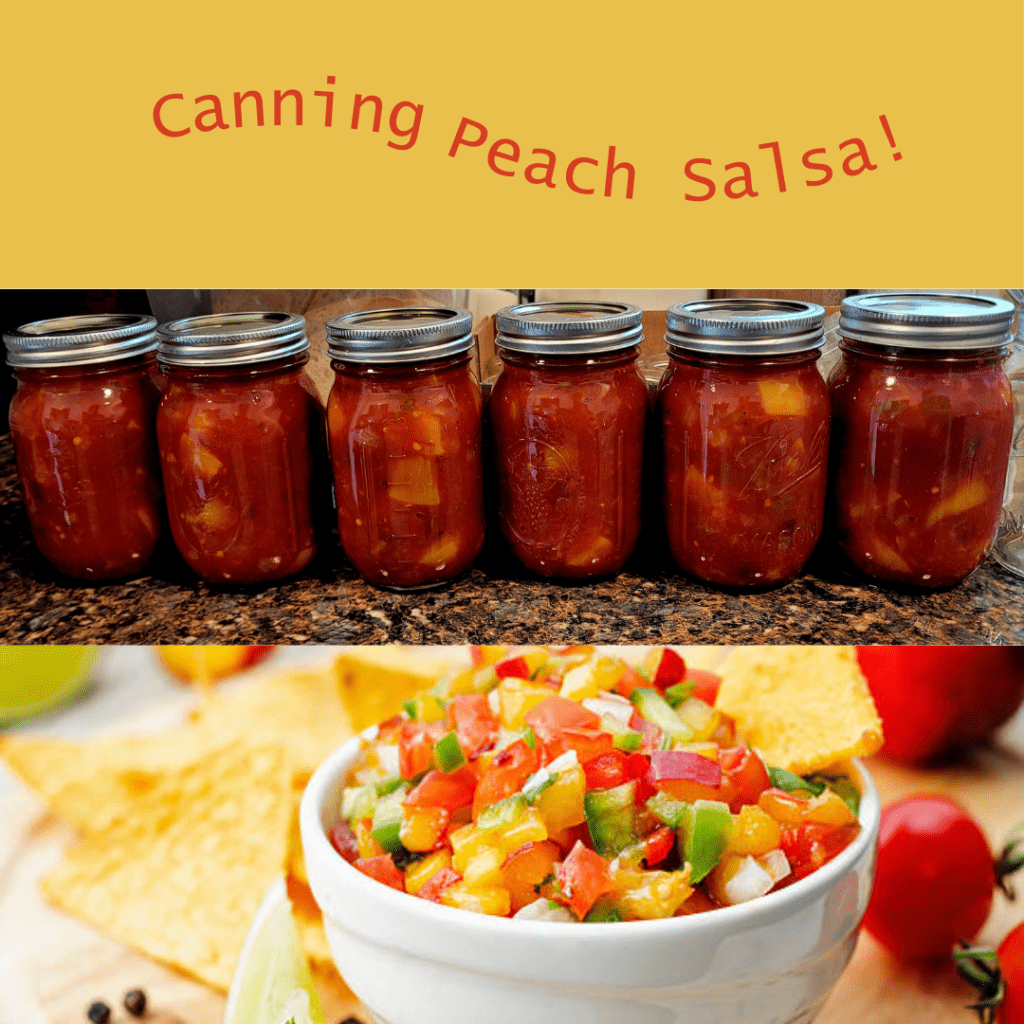 Image illustrates peach salsa.