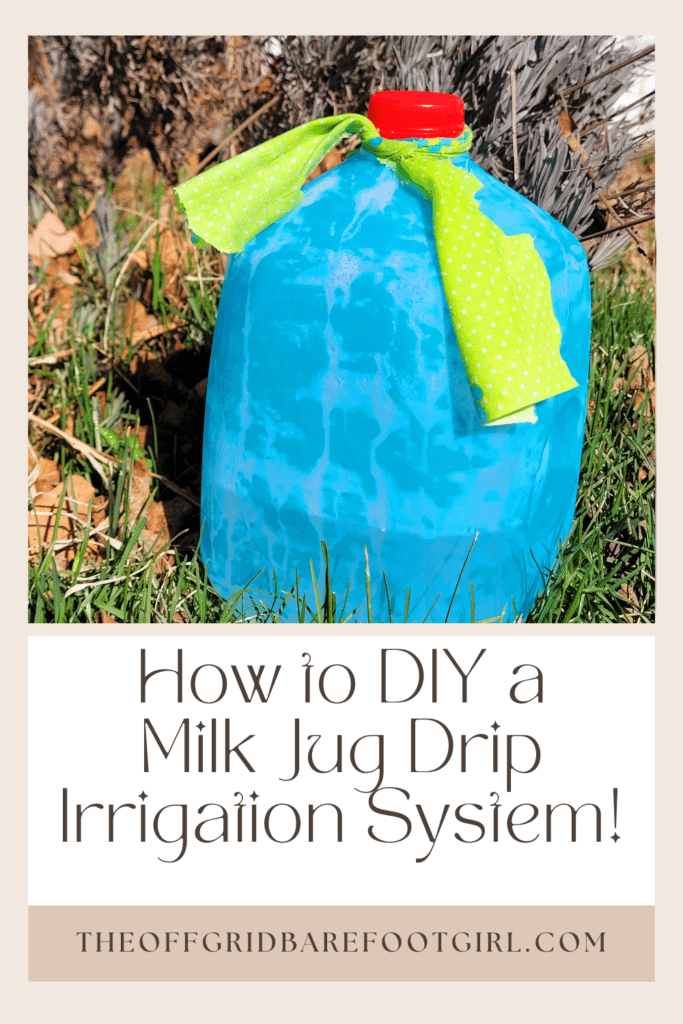 Image illustrates a Pinterest pin of a milk jug drip irrigation system.