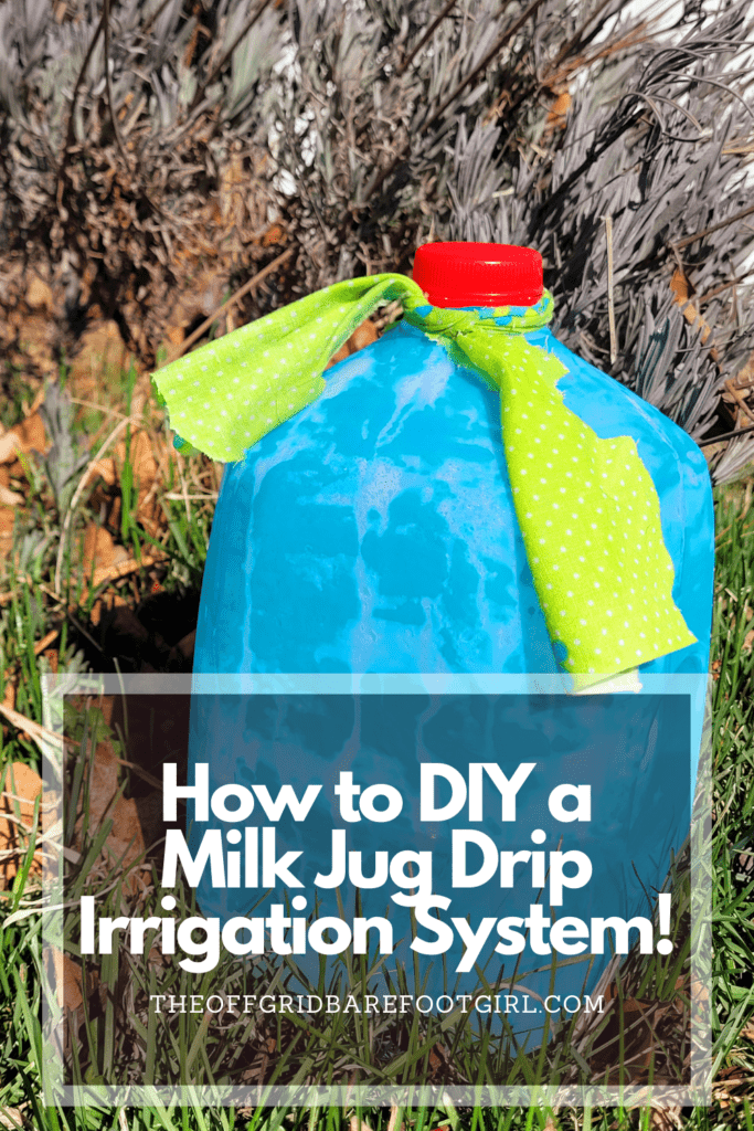Image illustrates a Pinterest pin of a milk jug drip irrigation system.