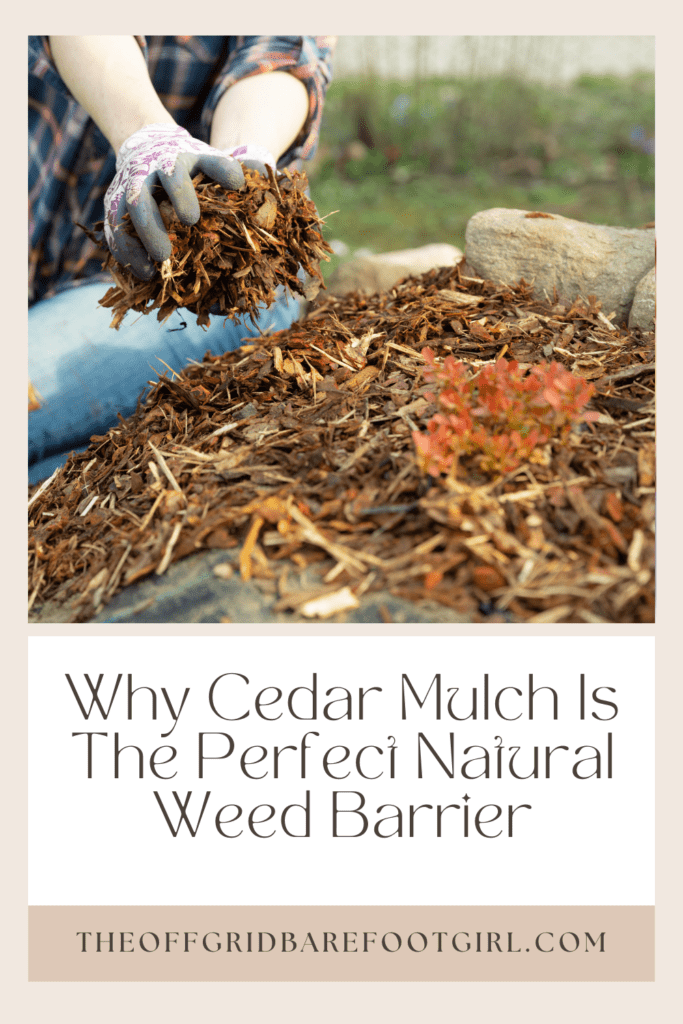 Image illustrates a Pinterest pin of cedar mulch. 