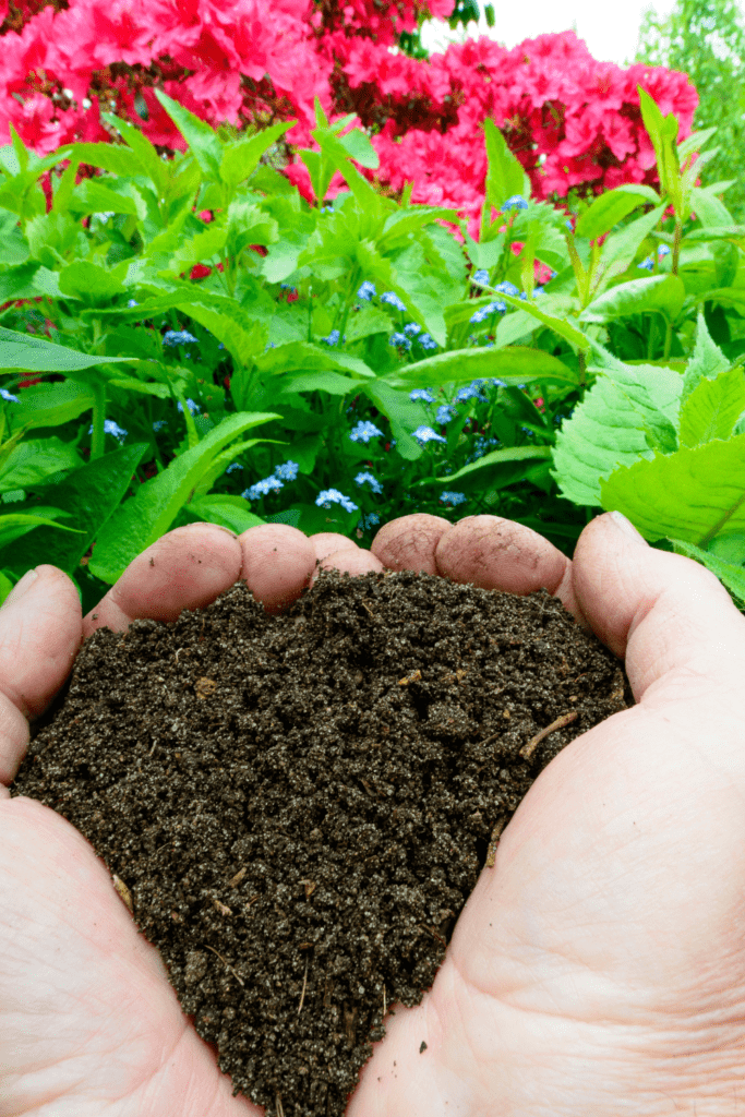 Image illustrates compost for a survival garden. 