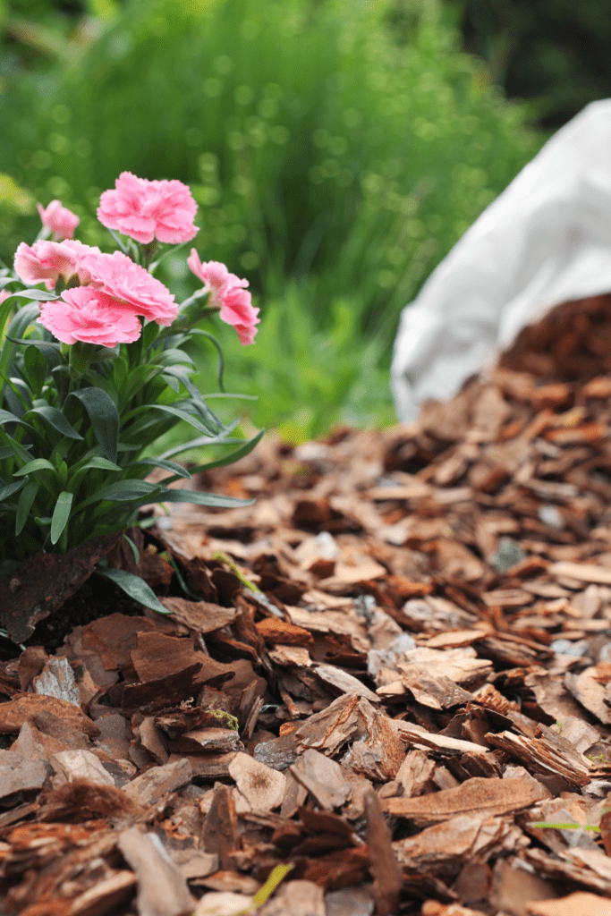 Image illustrates weed barrier for a garden. 