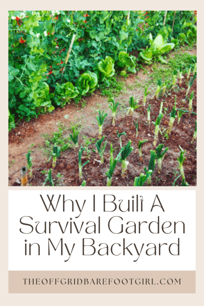 Image illustrates a Pinterest pin of a survival garden. 