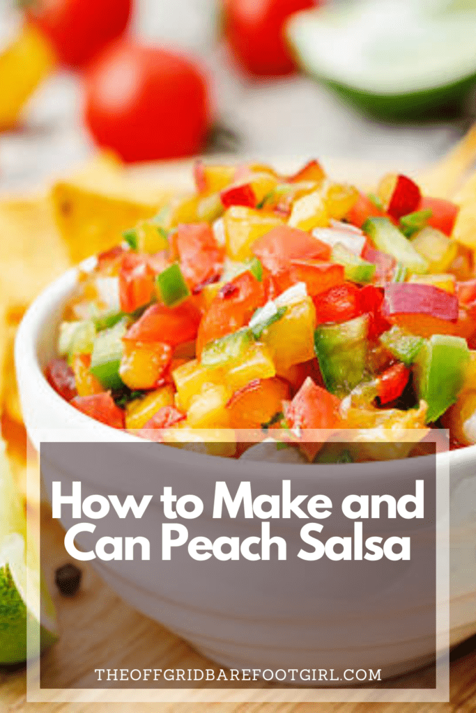 Image illustrates a Pinterest pin of peach salsa.