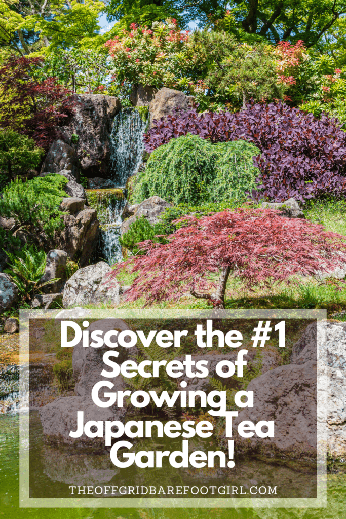 Image illustrates a Pinterest pin of a Japanese tea garden. 