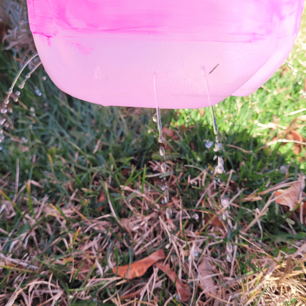 Image illustrates a milk jug drip irrigation system.