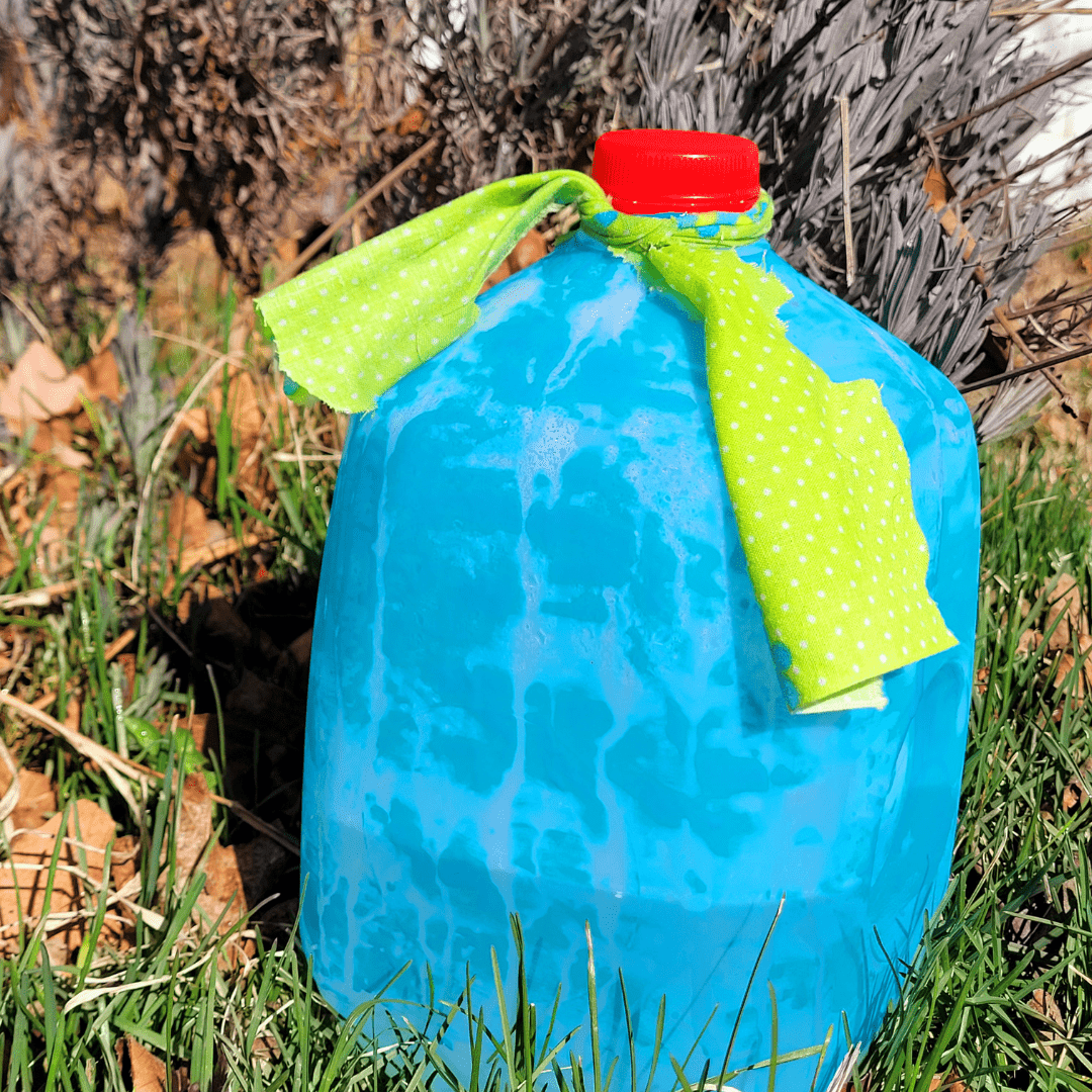Image illustrates a milk jug drip irrigation system.