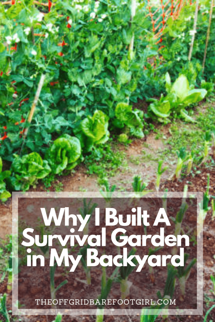 Image illustrates a Pinterest pin of a survival garden. 