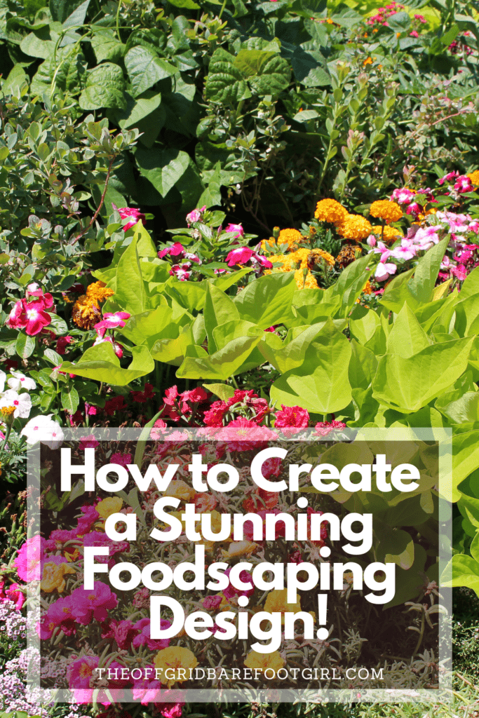Image illustrates a Pinterest pin of a foodscaping garden.