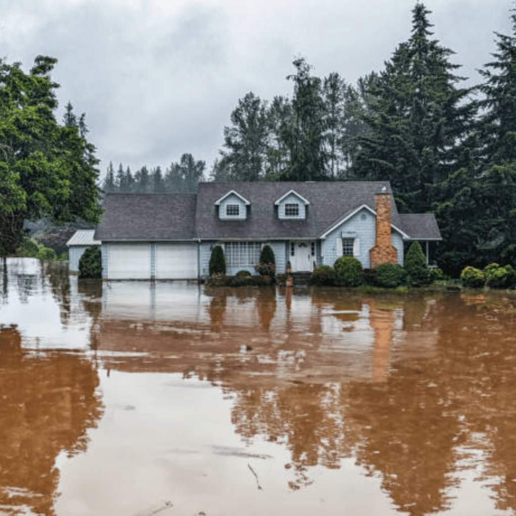 Image illustrates a house in a flood for doomsday preppers.