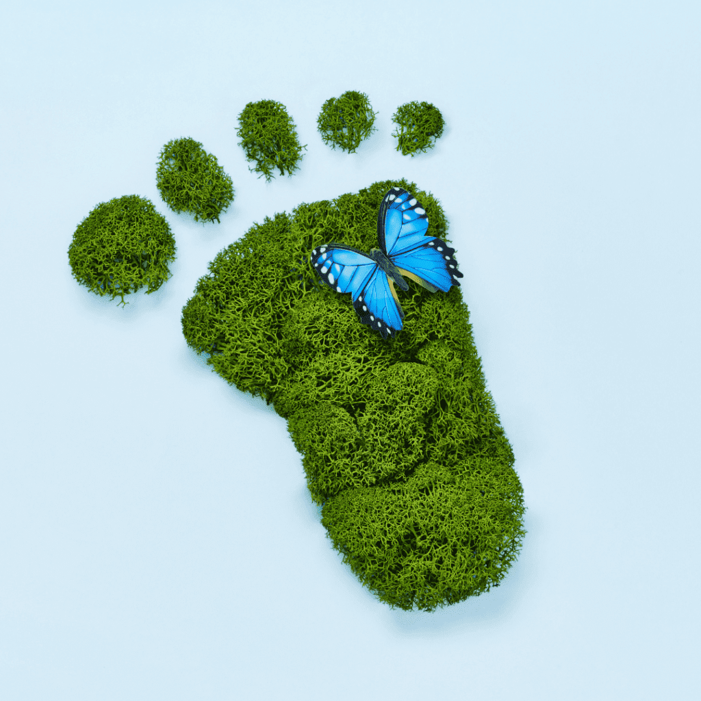 Image illustrates a mossy barefoot graphic for earthing day.