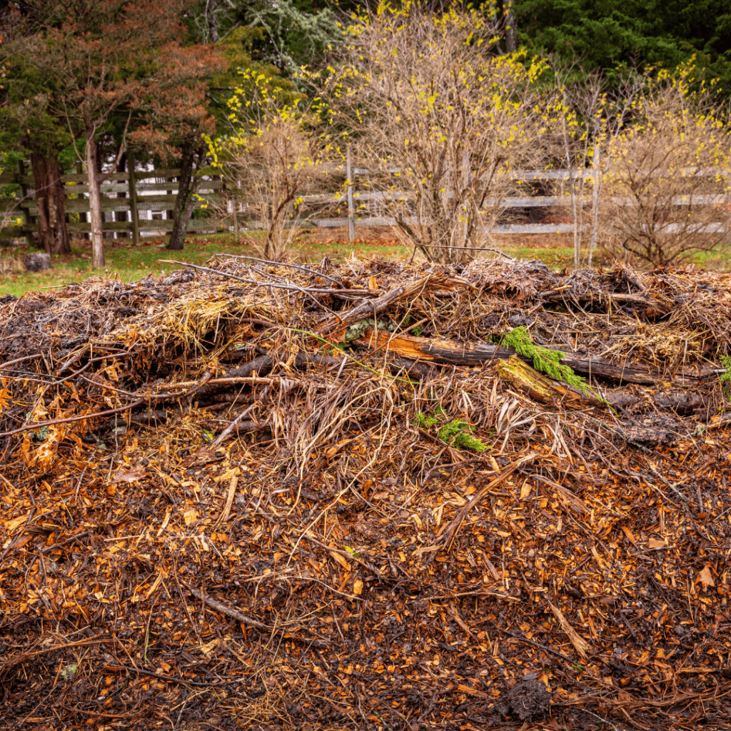 Image illustrates a hugelkultur garden. 