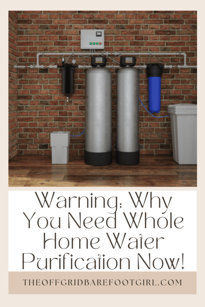 Image illustrates a Pinterest pin of a whole home water purification system. 