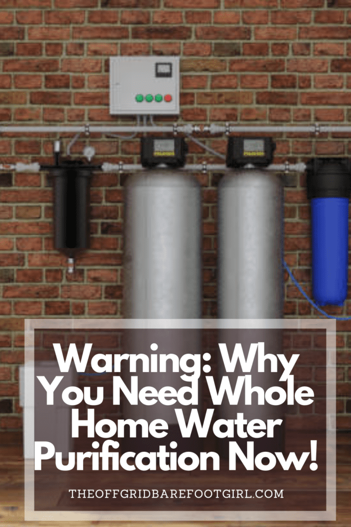 Image illustrates a Pinterest pin of a whole home water purification system. 
